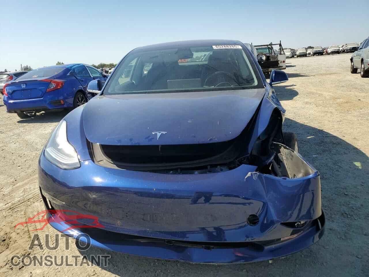 TESLA MODEL 3 2019 - 5YJ3E1EA3KF301209