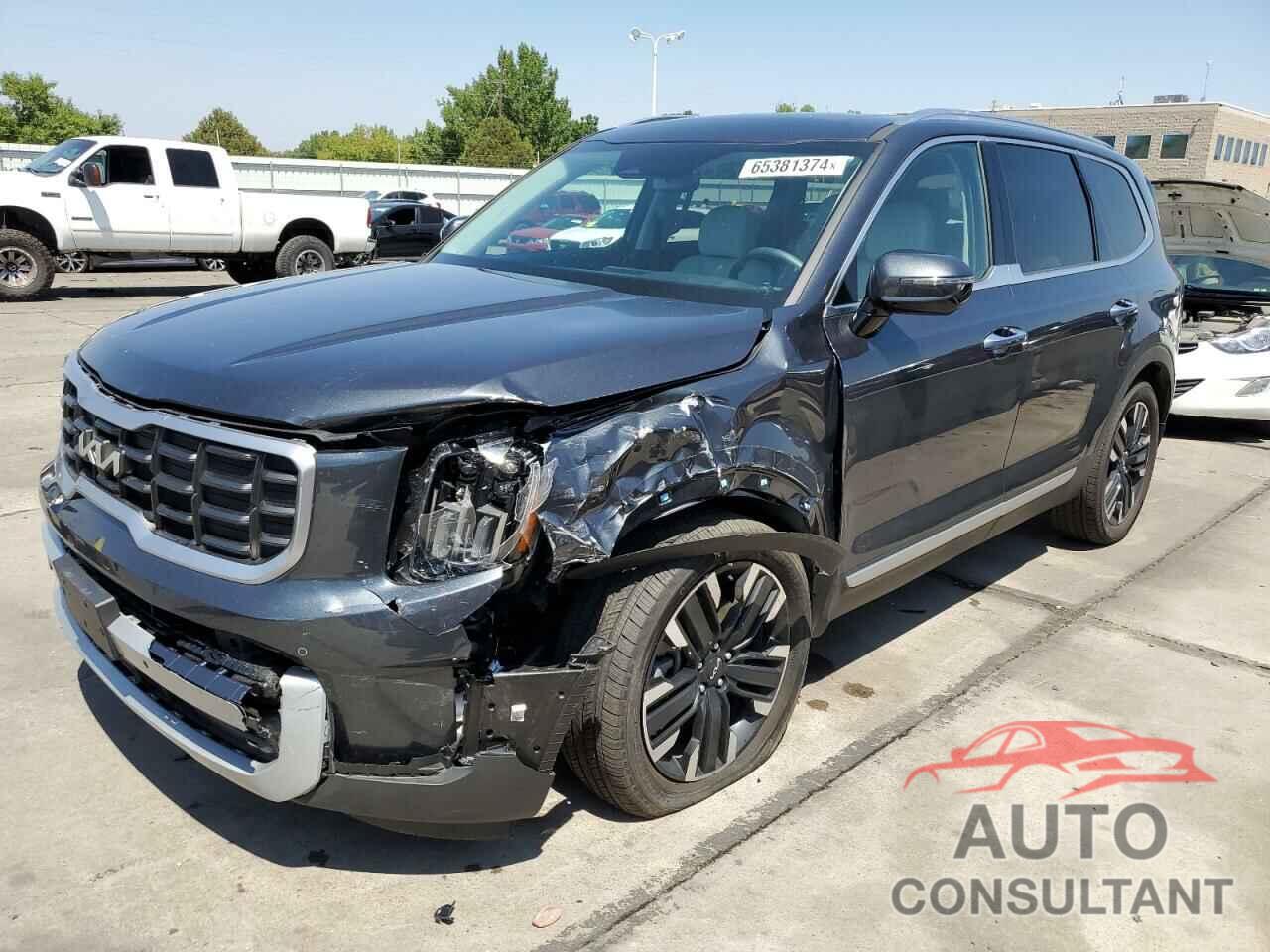 KIA TELLURIDE 2024 - 5XYP5DGC3RG424660