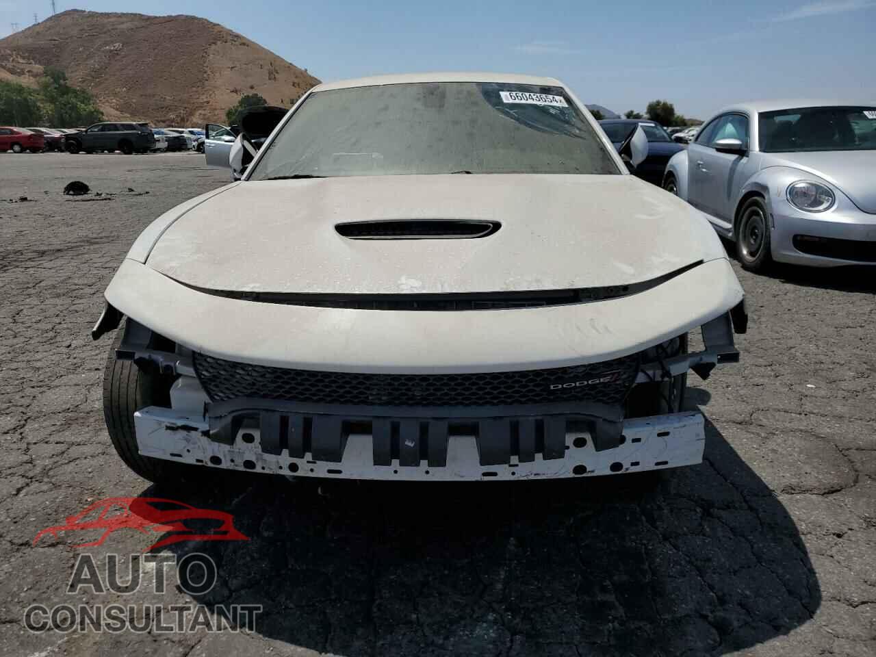 DODGE CHARGER 2019 - 2C3CDXHG9KH690488