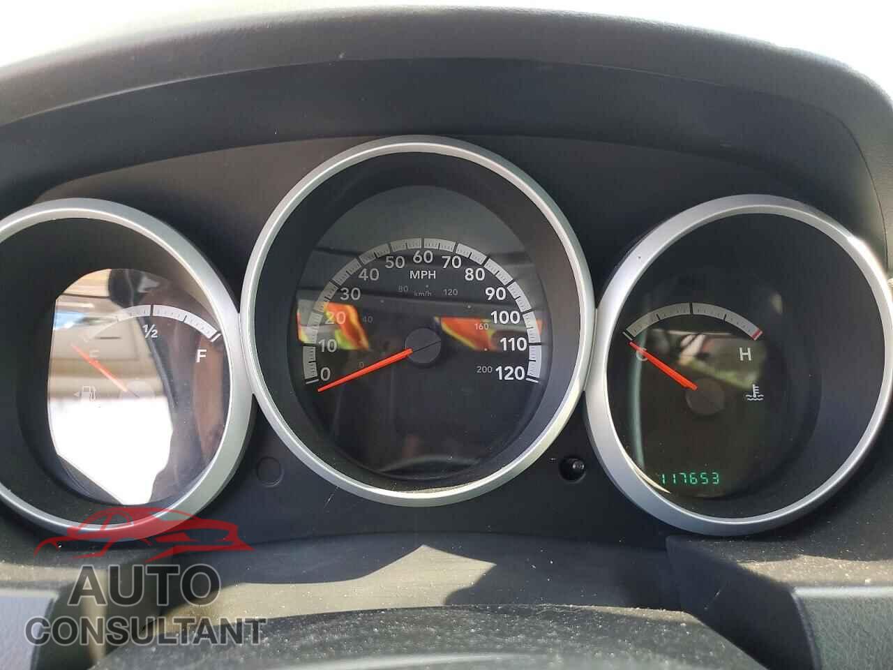 DODGE CARAVAN 2009 - 1D8HN44EX9B509209