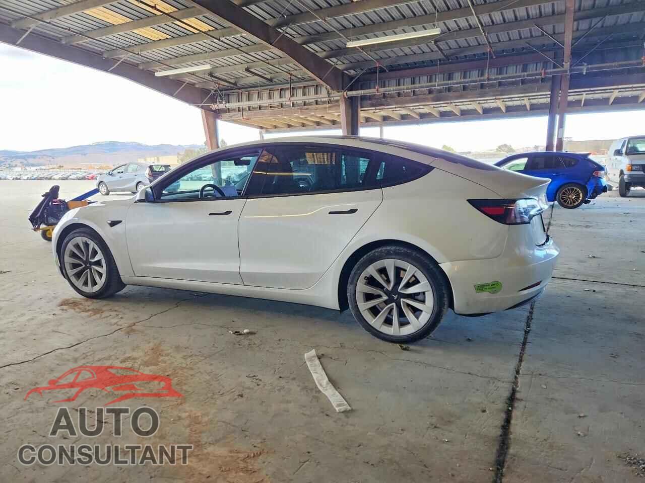 TESLA MODEL 3 2023 - 5YJ3E1EA2PF430341