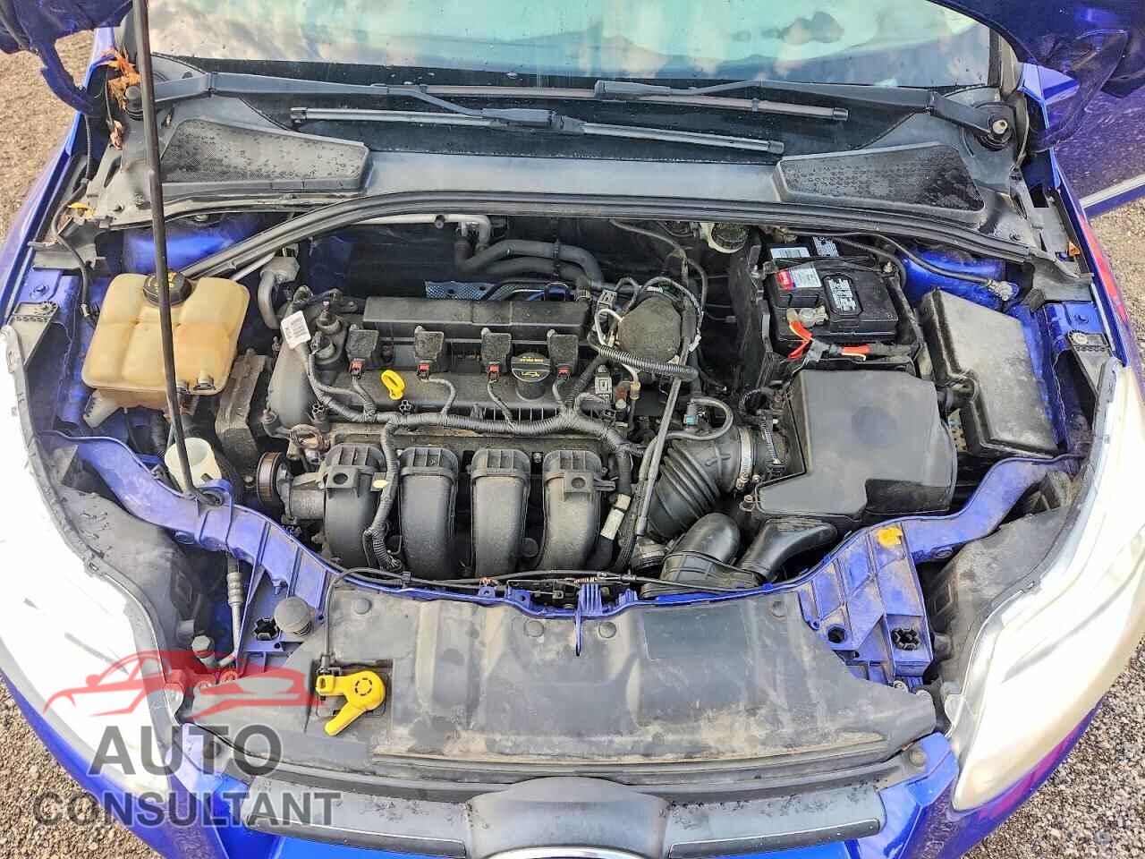FORD FOCUS 2014 - 1FADP3F29EL335485