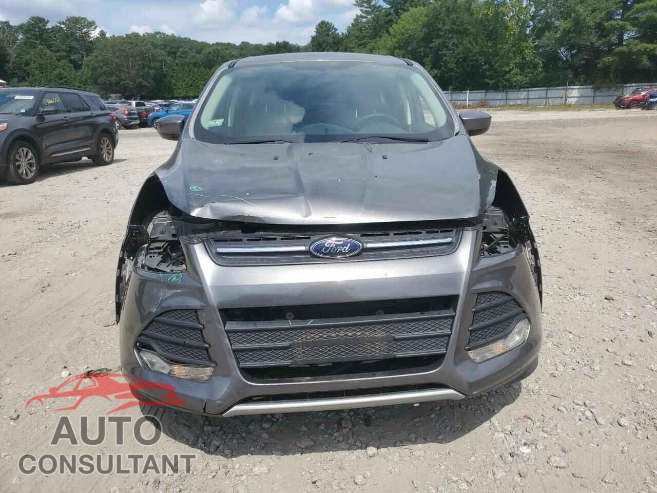 FORD ESCAPE 2014 - 1FMCU9GX5EUE04500