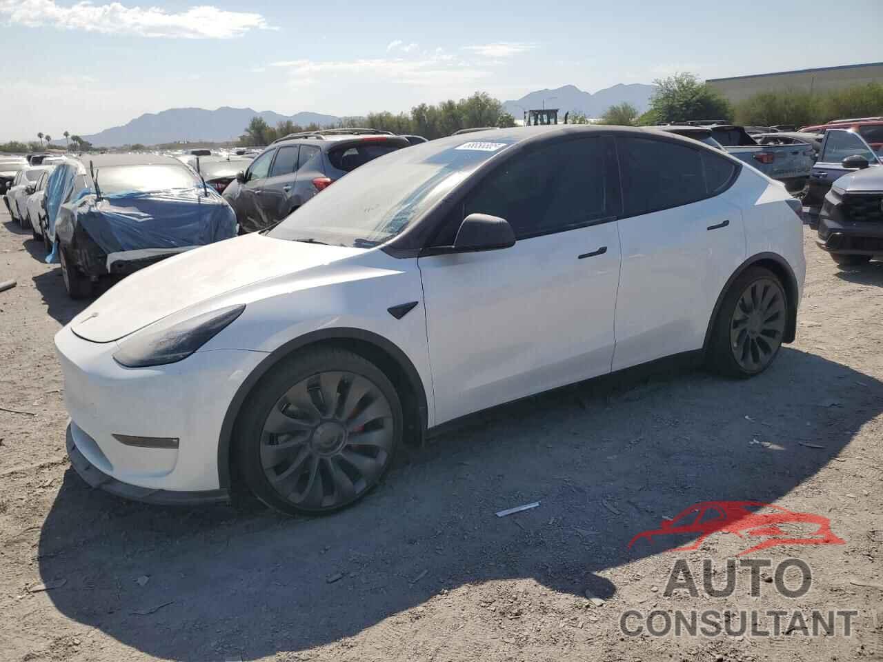 TESLA MODEL Y 2023 - 7SAYGDEF2PF692831