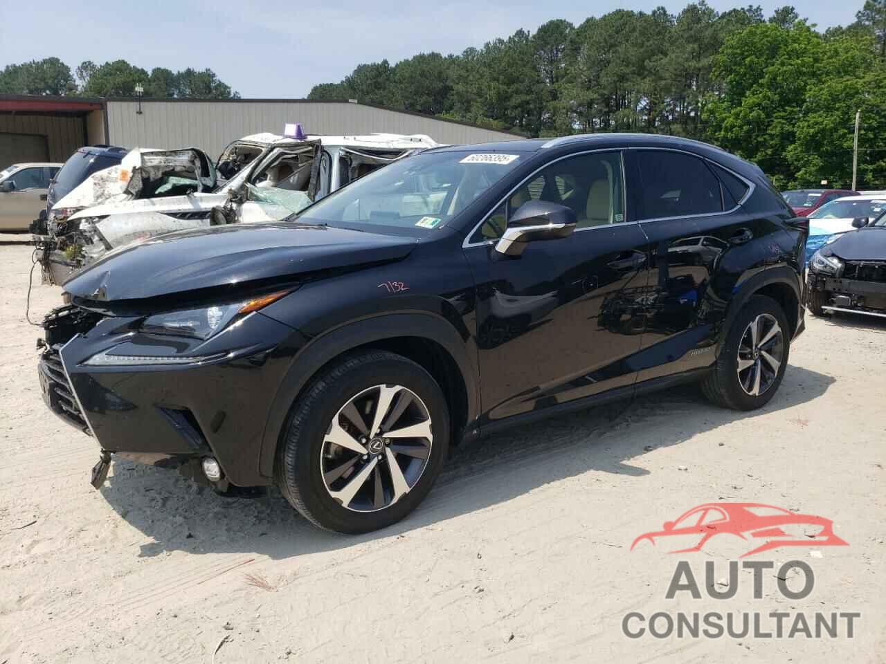 LEXUS NX 2019 - JTJBJRBZ3K2104833