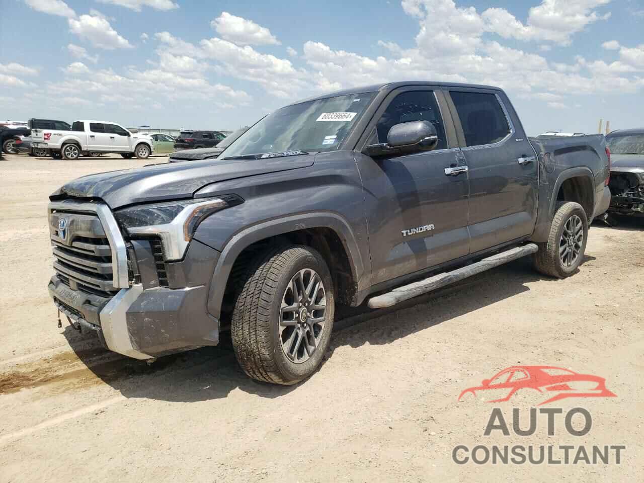 TOYOTA TUNDRA 2024 - 5TFJC5DB5RX042091