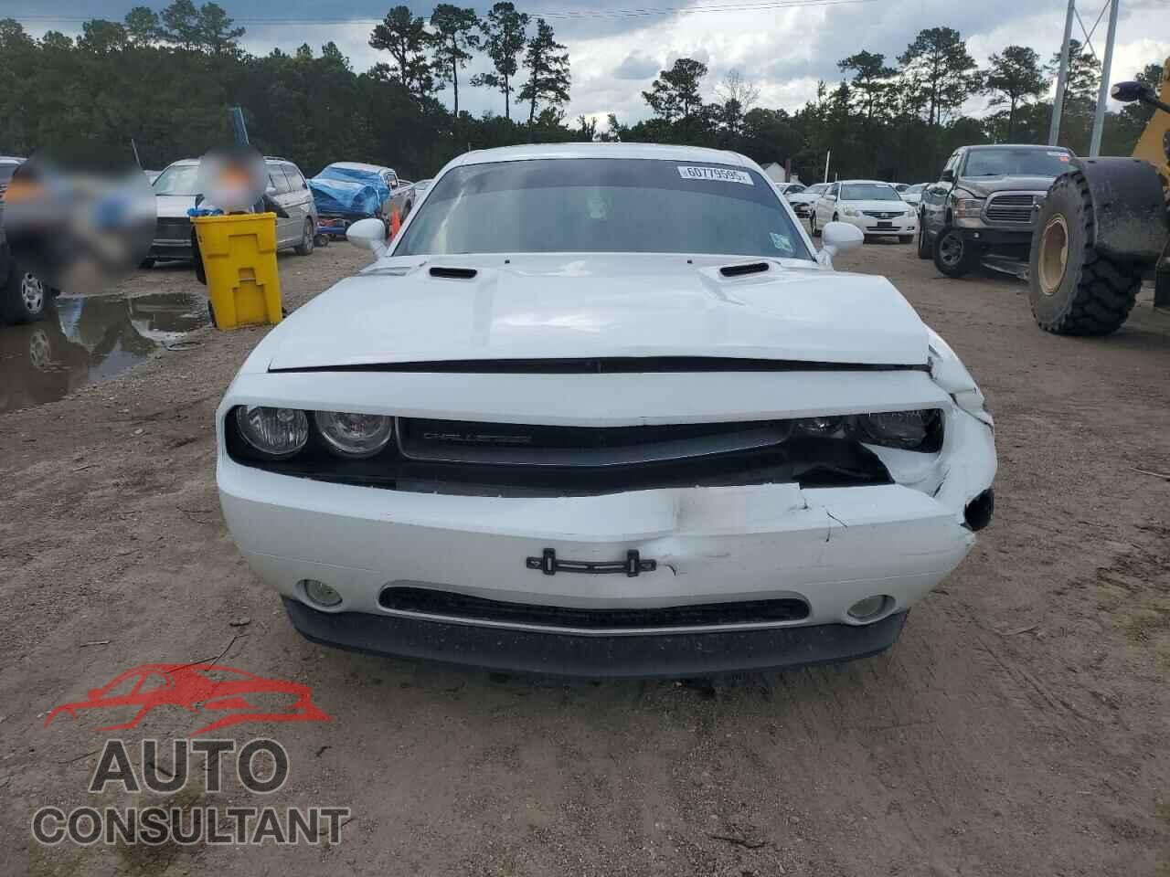 DODGE CHALLENGER 2013 - 2C3CDYBT2DH511366