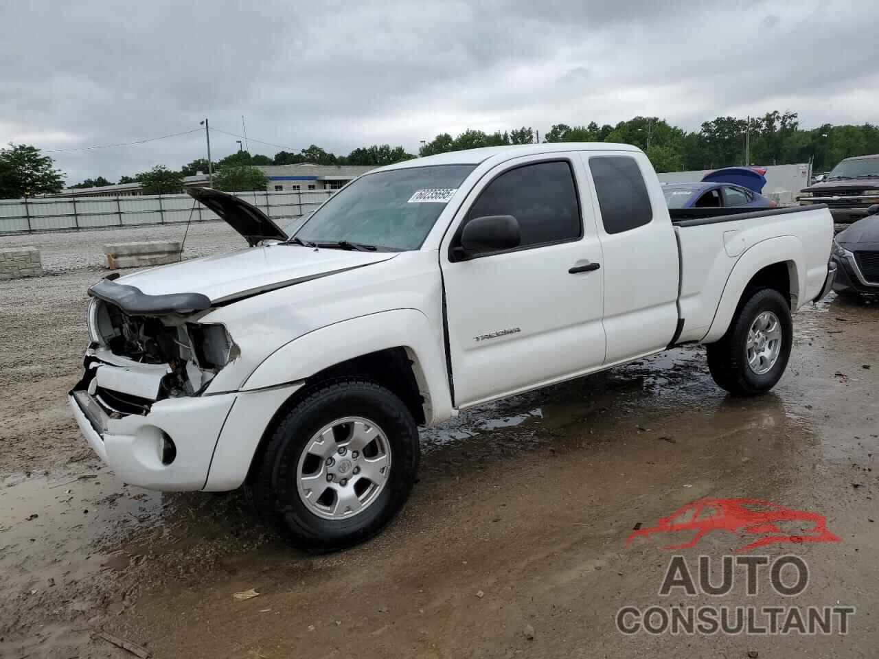 TOYOTA TACOMA 2009 - 5TETU62N29Z635621
