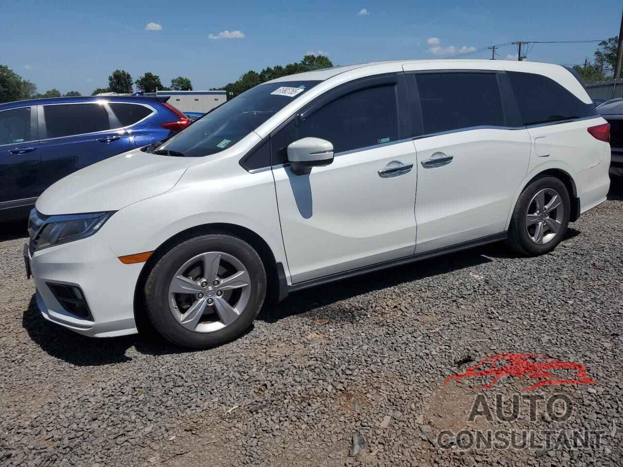 HONDA All Models 2020 - 5FNRL6H74LB031423