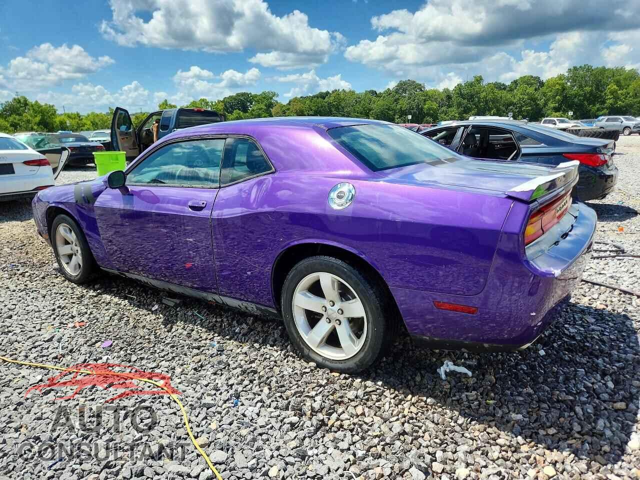 DODGE CHALLENGER 2013 - 2C3CDYAG9DH596355