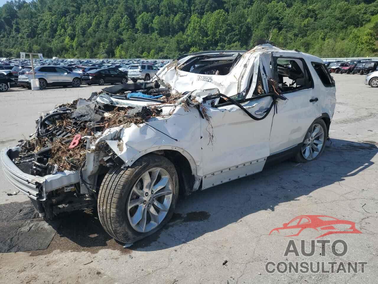 FORD EXPLORER 2013 - 1FM5K8D89DGC79410