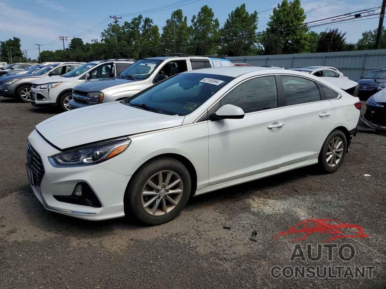 HYUNDAI SONATA 2019 - 5NPE24AF6KH817392