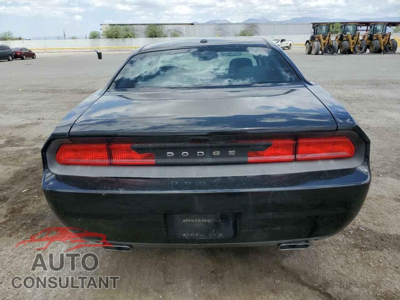 DODGE CHALLENGER 2013 - 2C3CDYAG2DH723852