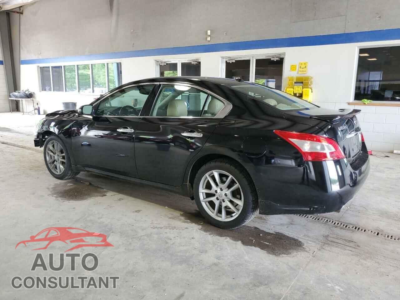 NISSAN MAXIMA 2011 - 1N4AA5AP6BC822352