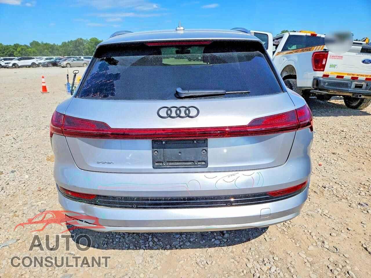 AUDI E-TRON 2019 - WA1VABGE2KB022096