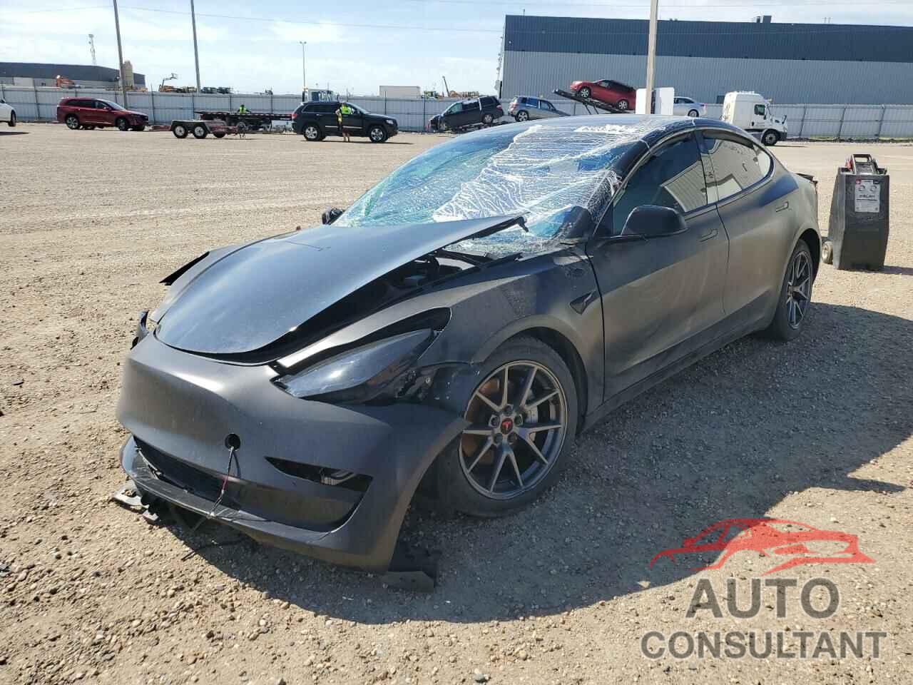 TESLA MODEL 3 2021 - 5YJ3E1EA1MF031965