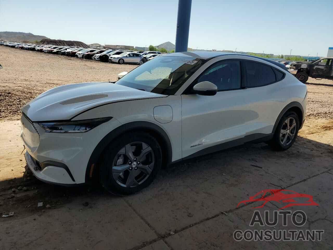 FORD MUSTANG 2021 - 3FMTK1RMXMMA58666