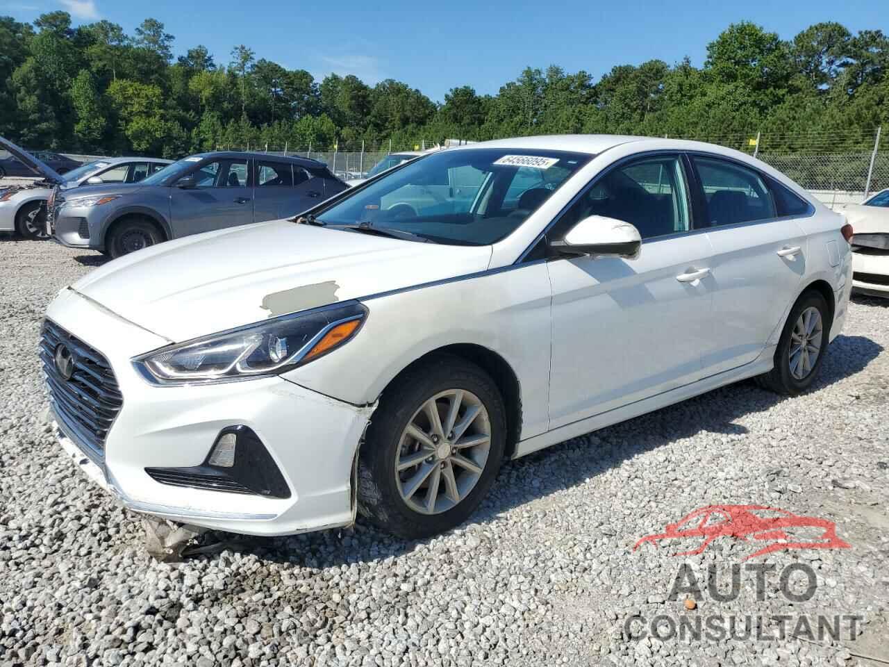 HYUNDAI SONATA 2019 - 5NPE24AF3KH792600