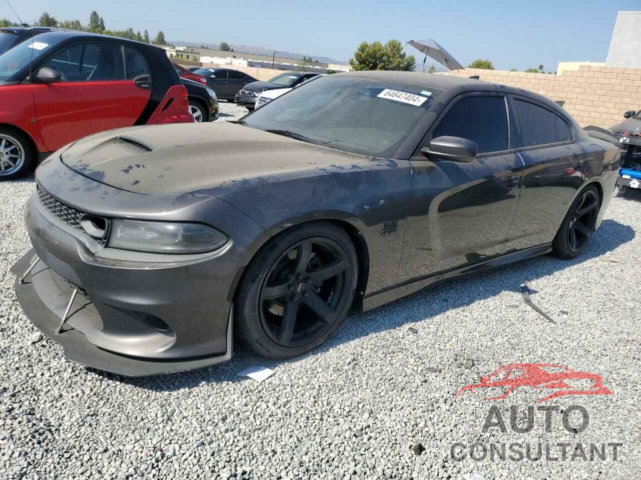 DODGE CHARGER 2019 - 2C3CDXCTXKH597970