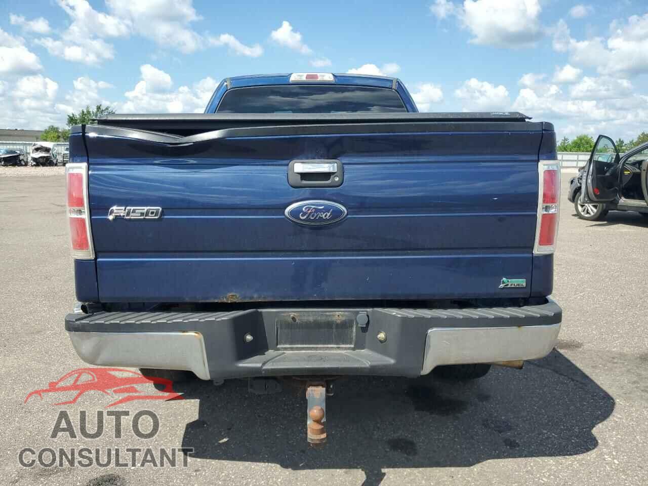 FORD F-150 2011 - 1FTFX1EF4BFA67287