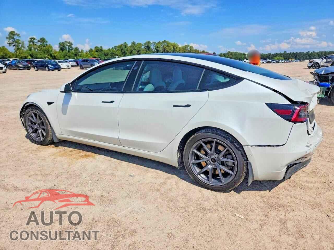 TESLA MODEL 3 2021 - 5YJ3E1EB7MF010224
