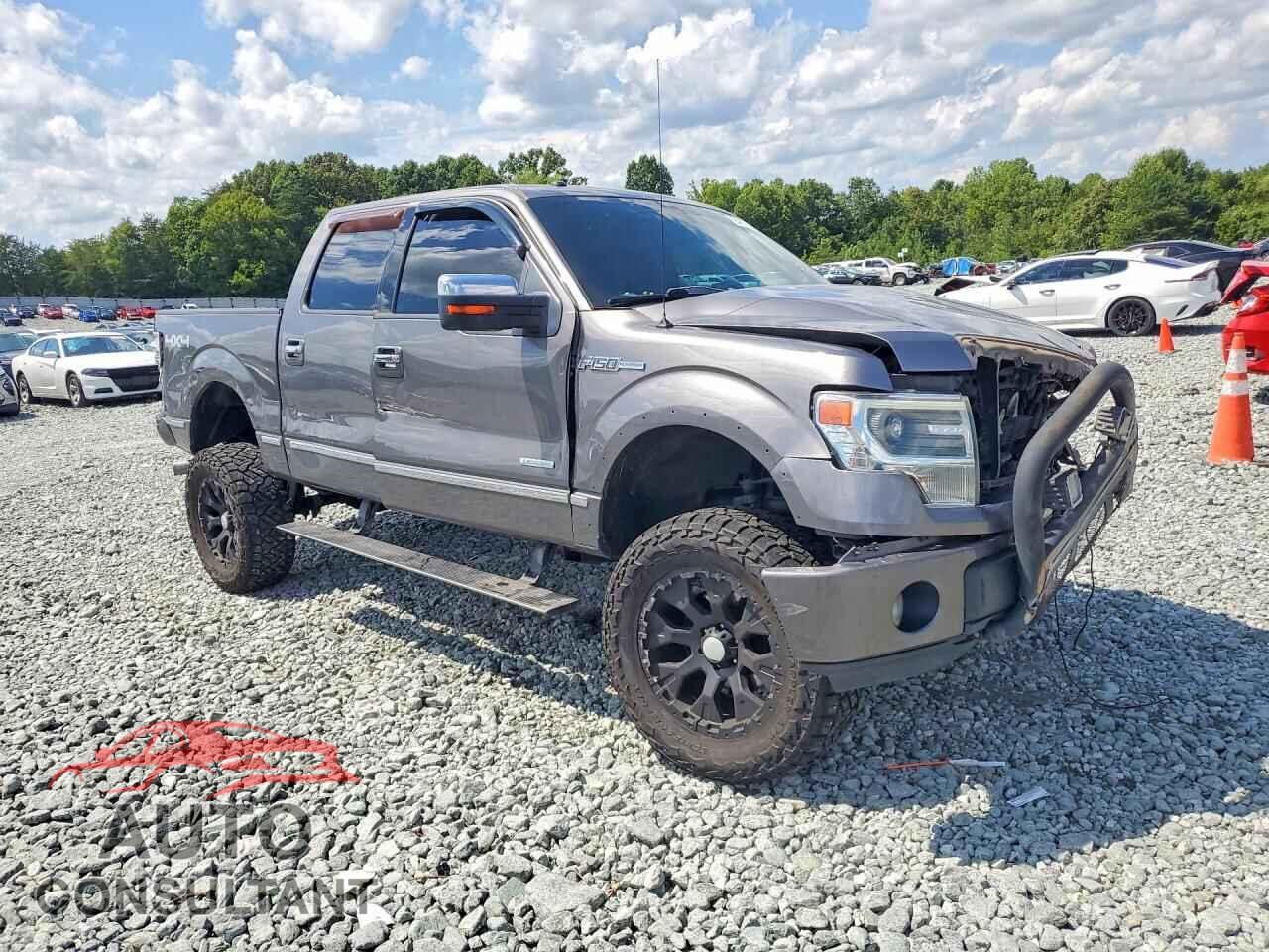 FORD F150 2013 - 1FTFW1ET7DFD15091