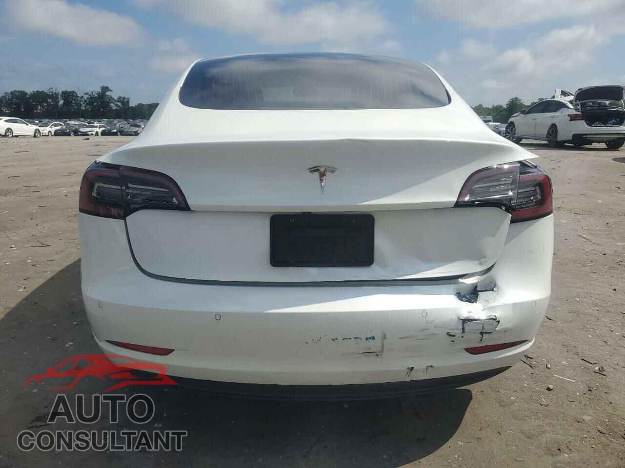 TESLA MODEL 3 2020 - 5YJ3E1EA4LF738055