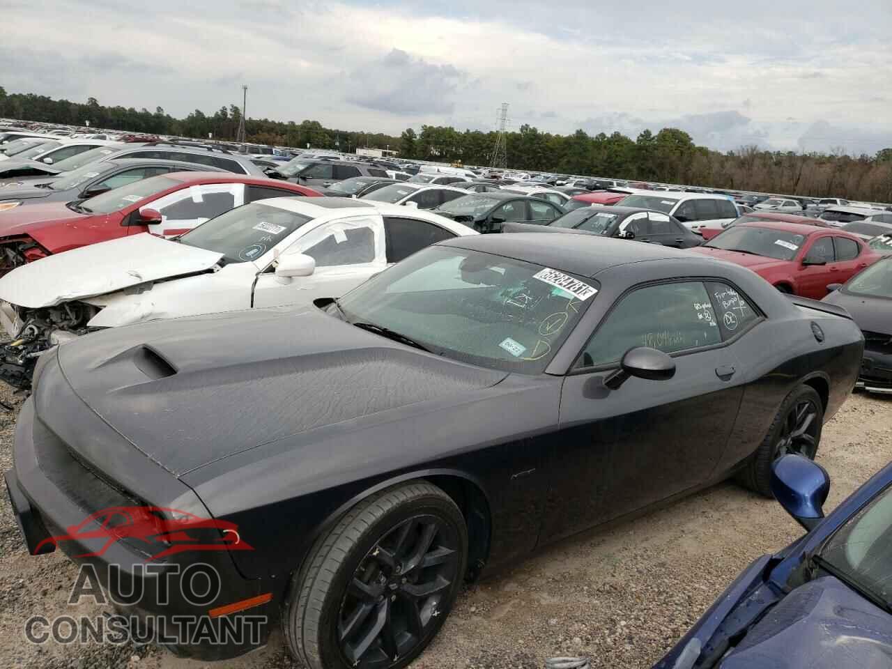 DODGE CHALLENGER 2019 - 2C3CDZBT5KH655366