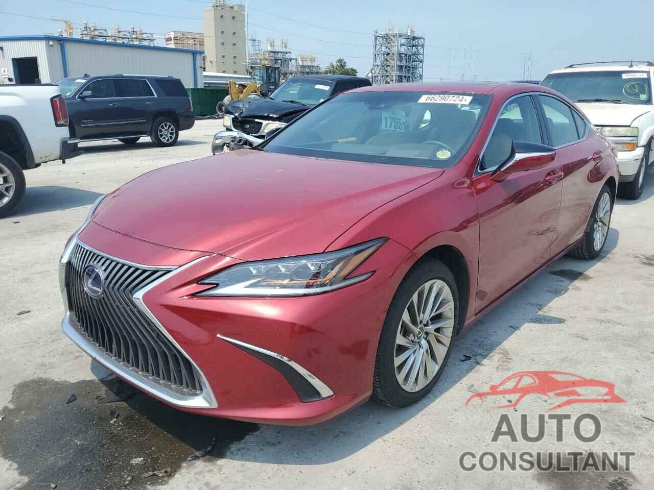 LEXUS ES300 2021 - 58AFA1C12MU012025