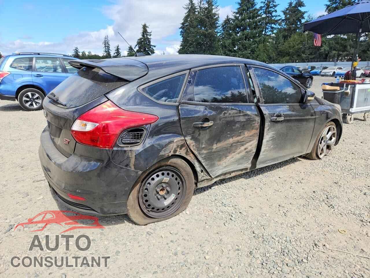 FORD FOCUS 2013 - 1FADP3L96DL165666