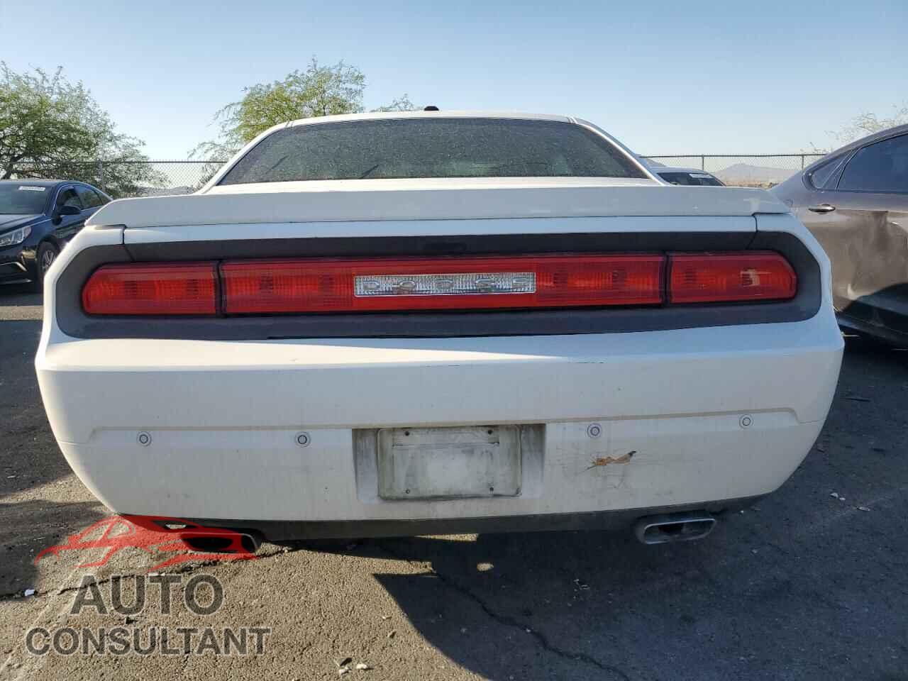 DODGE CHALLENGER 2013 - 2C3CDYBT7DH611320