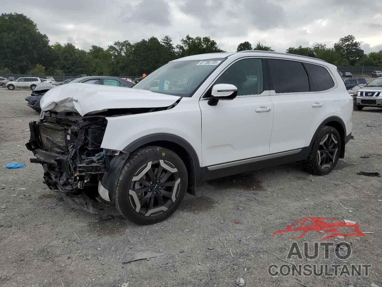 KIA TELLURIDE 2023 - 5XYP34GC2PG331552