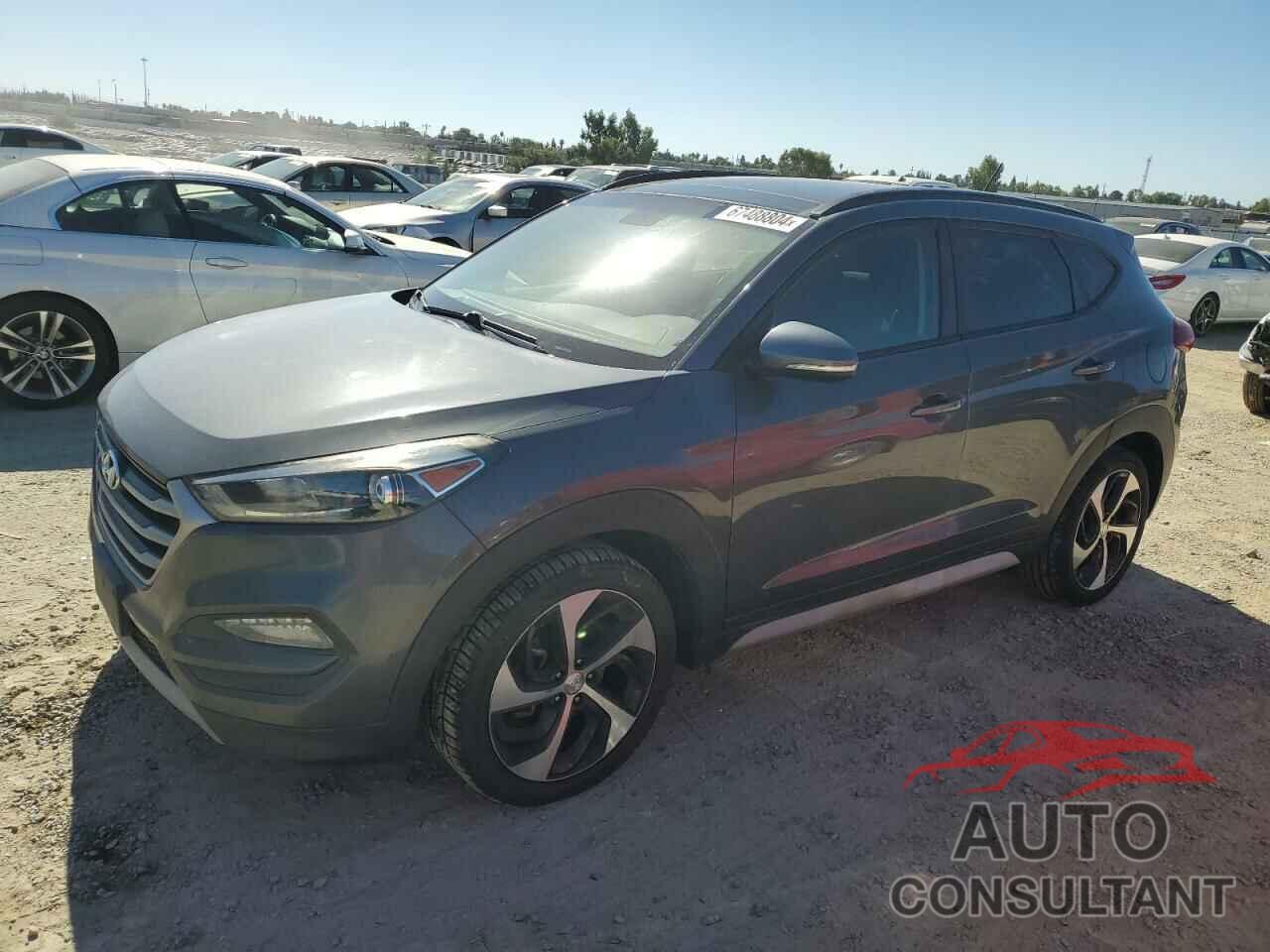 HYUNDAI TUCSON 2017 - KM8J33A21HU559103