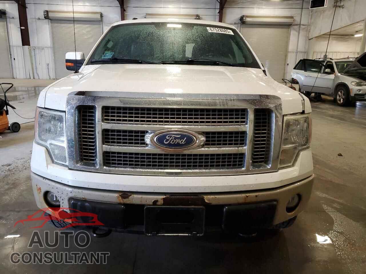 FORD F-150 2010 - 1FTFW1EV0AFB83465