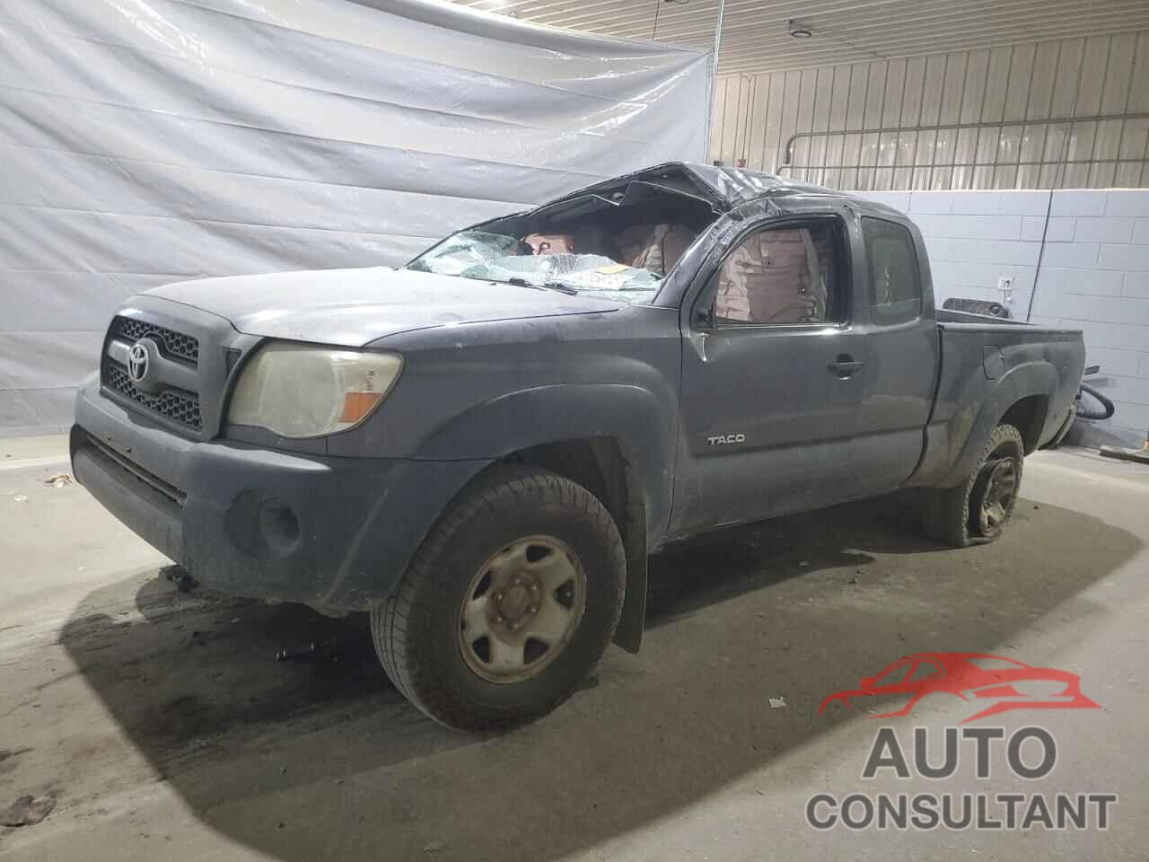 TOYOTA TACOMA 2011 - 5TFUX4ENXBX006956
