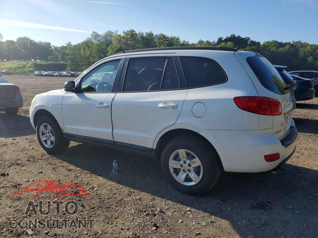 HYUNDAI SANTA FE 2009 - 5NMSG13D59H264093
