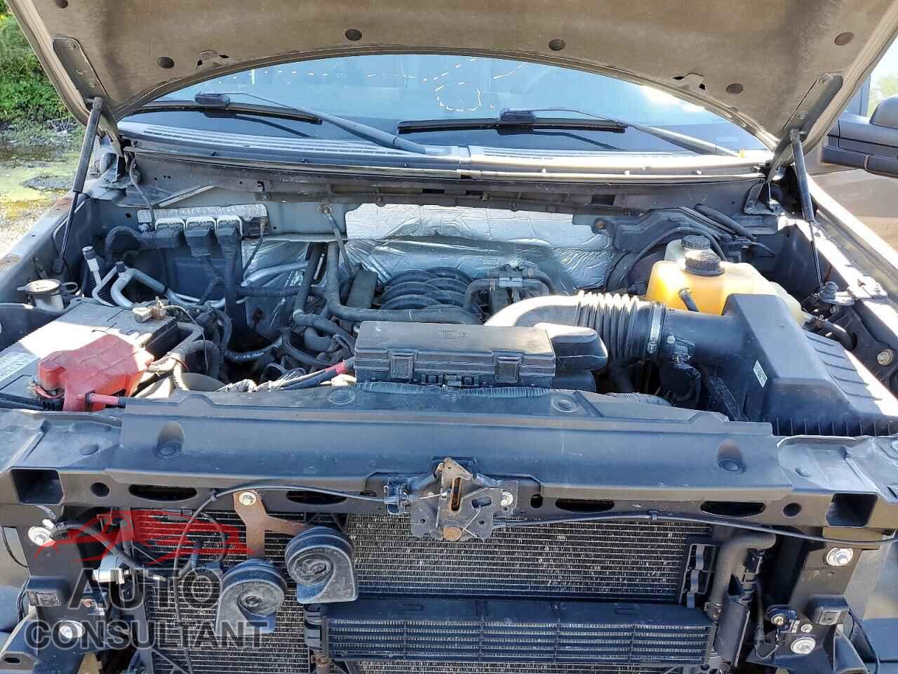 FORD F150 2013 - 1FTFX1EF2DFD14809