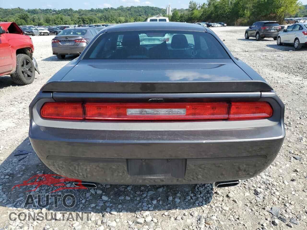 DODGE CHALLENGER 2013 - 2C3CDYAG6DH718816