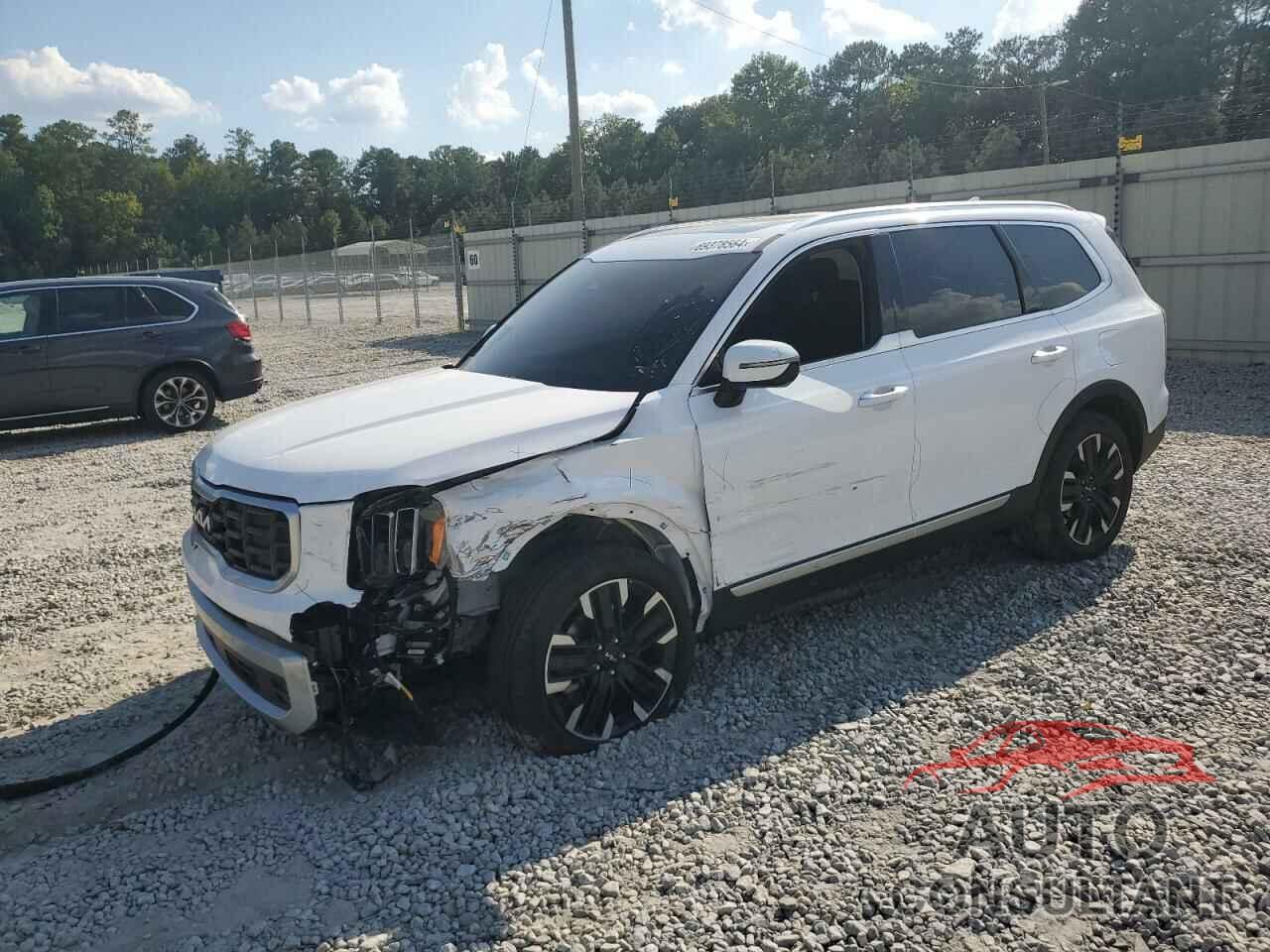 KIA TELLURIDE 2024 - 5XYP54GC9RG454570