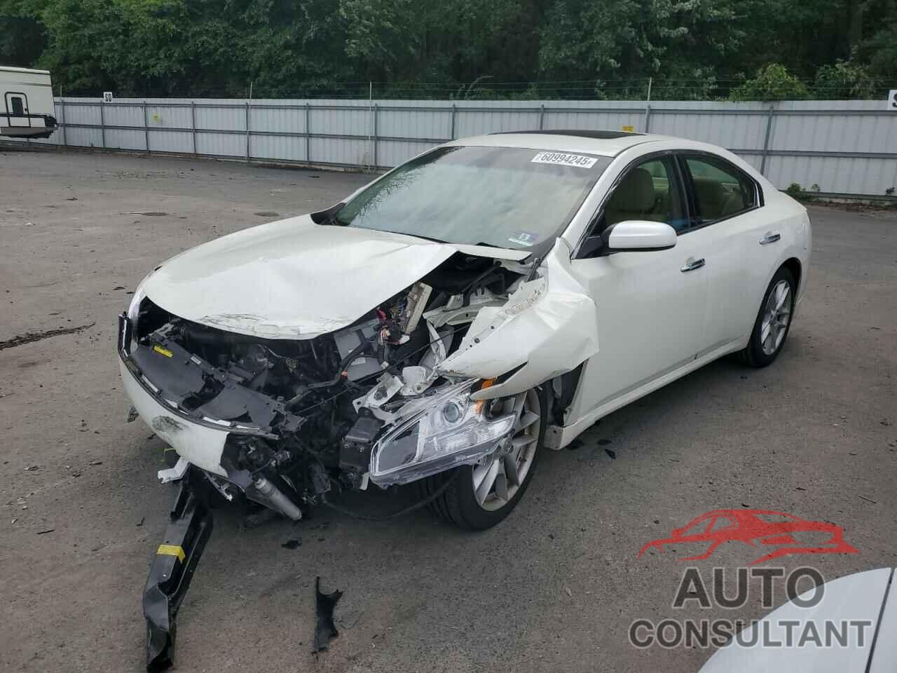 NISSAN MAXIMA 2009 - 1N4AA51E19C851735