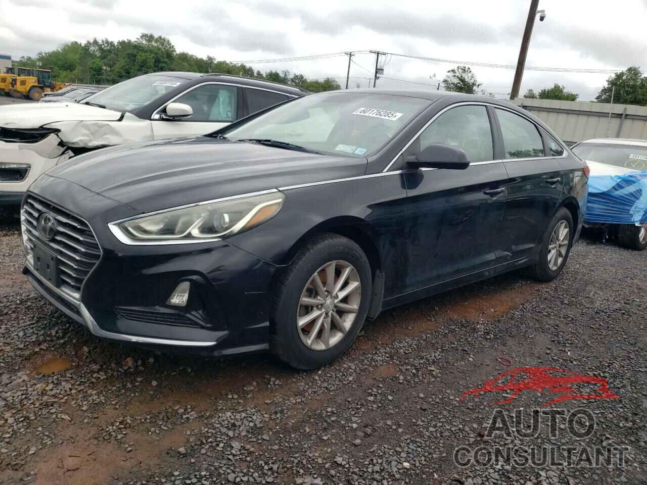 HYUNDAI SONATA 2019 - 5NPE24AF2KH809094