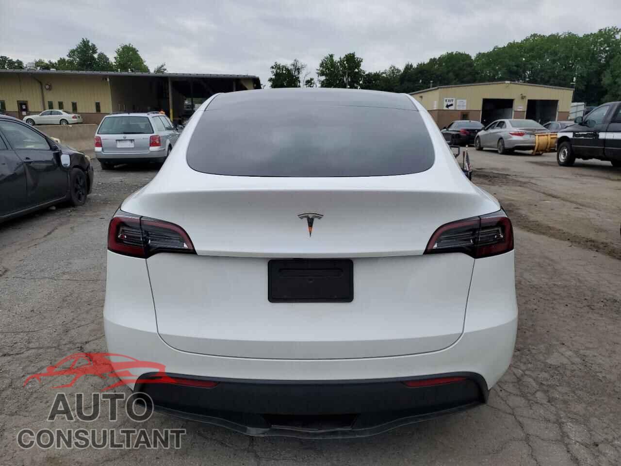 TESLA MODEL Y 2024 - 7SAYGDED1RF094232