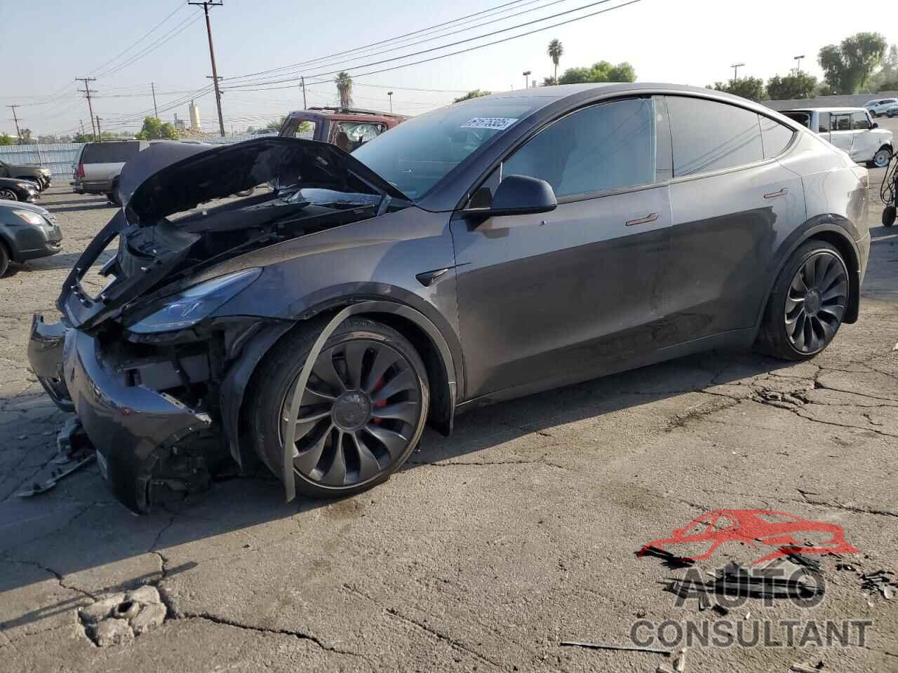 TESLA MODEL Y 2024 - 7SAYGDEF4RF185996