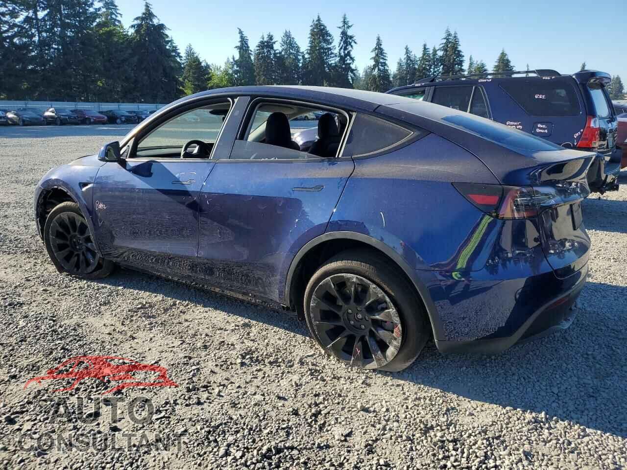 TESLA MODEL Y 2024 - 7SAYGDEE2RF006541