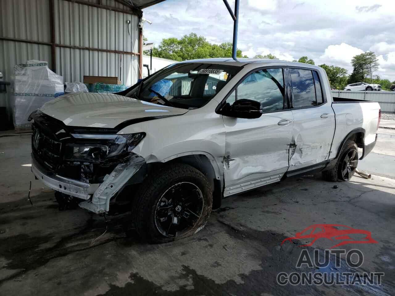 HONDA RIDGELINE 2024 - 5FPYK3F81RB028472
