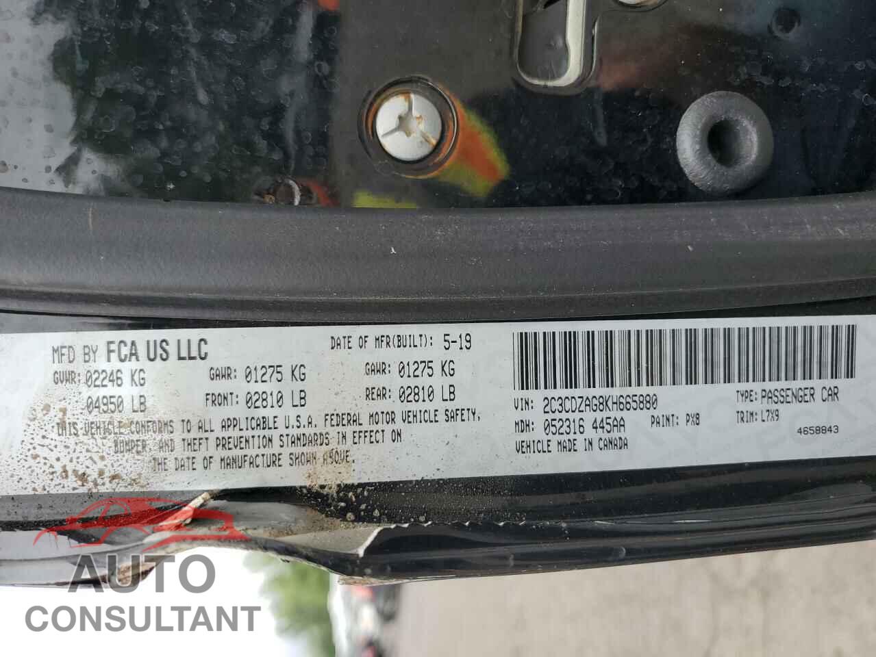 DODGE CHALLENGER 2019 - 2C3CDZAG8KH665880