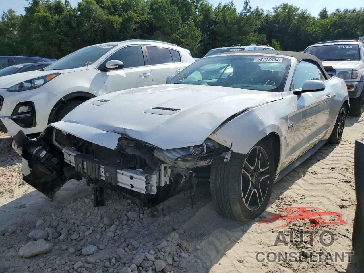 FORD MUSTANG 2019 - 1FATP8FF1K5171838