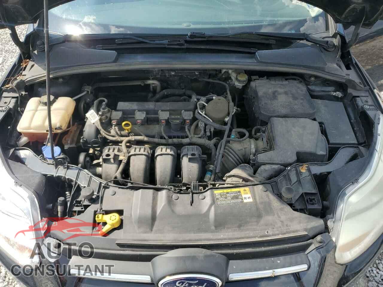 FORD FOCUS 2014 - 1FADP3F2XEL150443