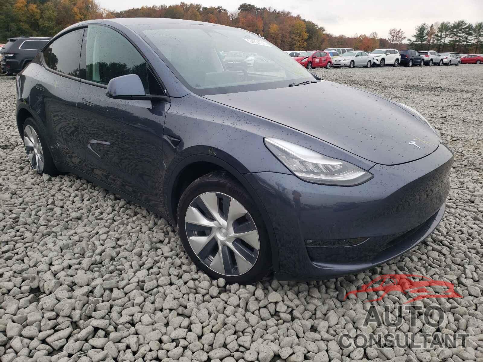 TESLA MODEL Y 2020 - 5YJYGDEE7LF008967