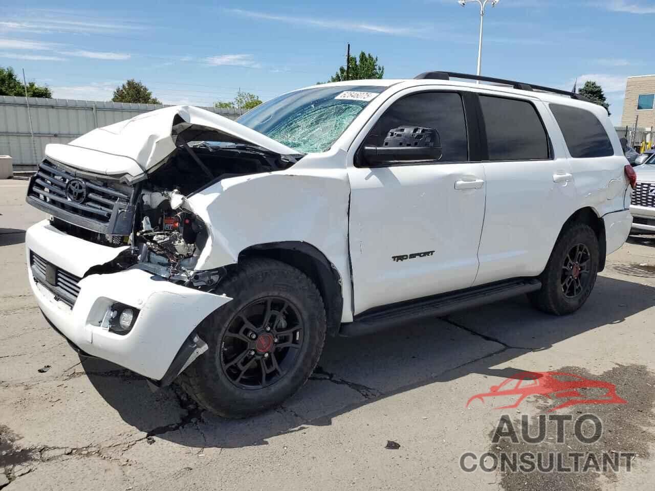 TOYOTA SEQUOIA 2019 - 5TDBY5G16KS168254
